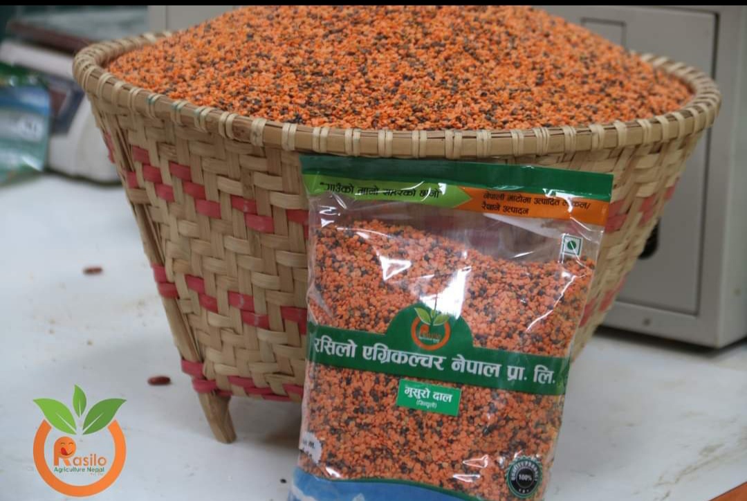 मुसुरो दाल सिन्धुली