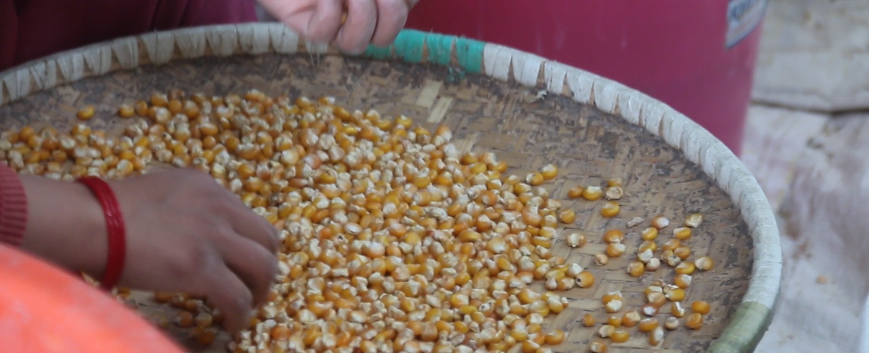 मकै साेलु